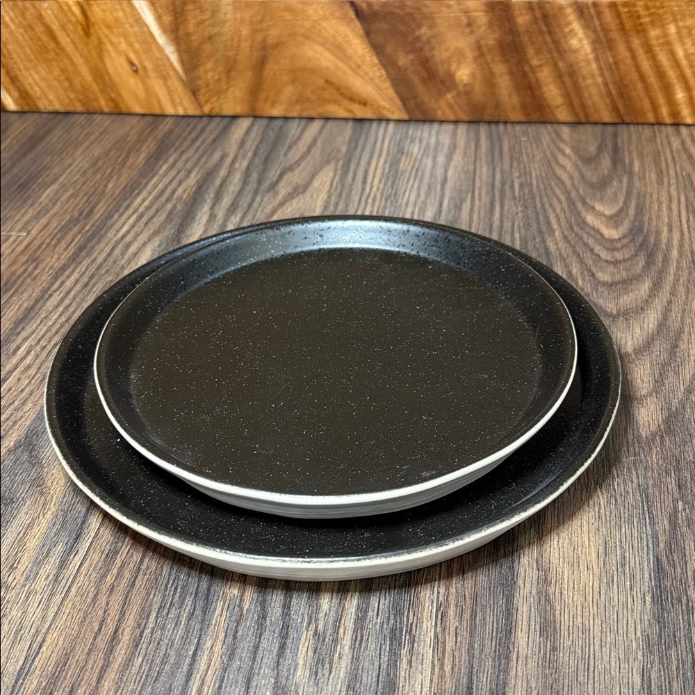 Costa Nova Stoneware Plate Set of 2